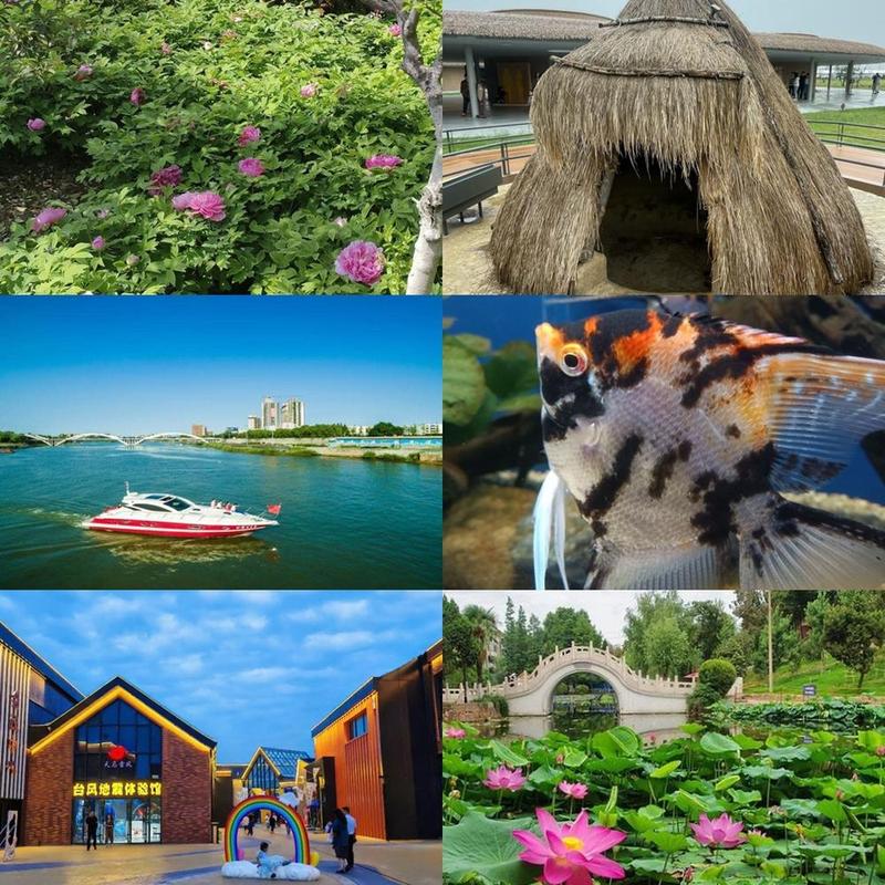 漯河市旅游景点排名榜(漯河市旅游景点排名榜前十名)-第2张图片 漯河市旅游景点排名榜(漯河市旅游景点排名榜前十名)-第2张图片