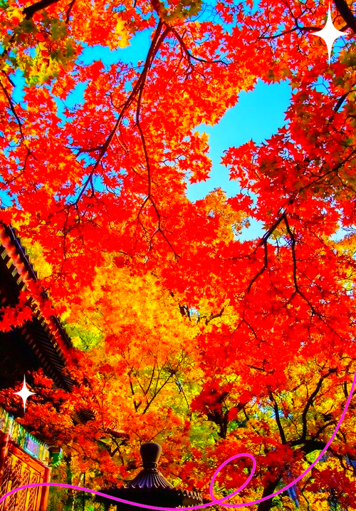 香山公园什么时候最美，香山公园什么时候最美丽-第1张图片