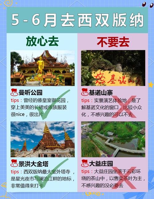 玩转西双版纳 - 西双版纳vlog-第3张图片 玩转西双版纳 - 西双版纳vlog-第3张图片