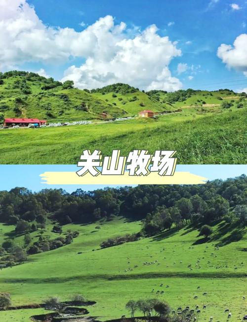 关山旅游攻略大全(关山旅游攻略大全图片)-第5张图片 关山旅游攻略大全(关山旅游攻略大全图片)-第5张图片