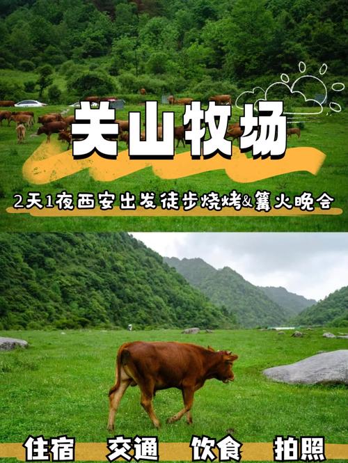 关山旅游攻略大全(关山旅游攻略大全图片)-第6张图片 关山旅游攻略大全(关山旅游攻略大全图片)-第6张图片