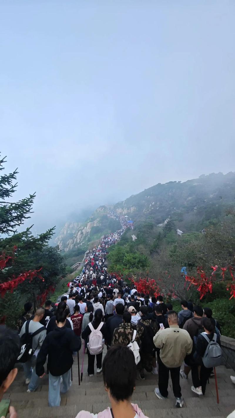 春节泰山旅游攻略(泰山景区春节)-第2张图片 春节泰山旅游攻略(泰山景区春节)-第2张图片