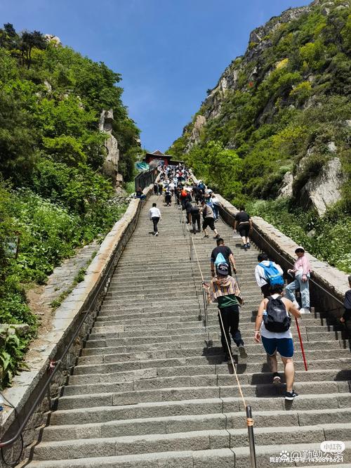 春节泰山旅游攻略(泰山景区春节)-第3张图片 春节泰山旅游攻略(泰山景区春节)-第3张图片