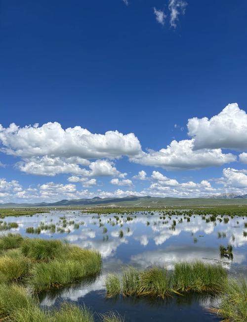 花湖旅游景点大全介绍,花湖旅游景点大全介绍一日游-第4张图片 花湖旅游景点大全介绍,花湖旅游景点大全介绍一日游-第4张图片