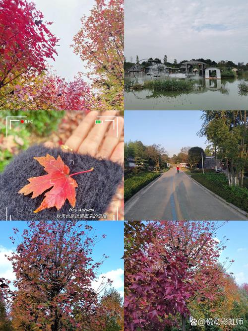 花湖旅游景点大全介绍,花湖旅游景点大全介绍一日游-第6张图片 花湖旅游景点大全介绍,花湖旅游景点大全介绍一日游-第6张图片