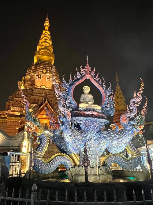 西双版纳的旅游景点集中吗?,西双版纳景点游玩时间-第5张图片 西双版纳的旅游景点集中吗?,西双版纳景点游玩时间-第5张图片