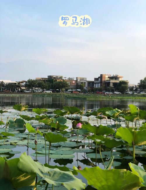 顺义前十旅游景点(顺义前十旅游景点有哪些)-第4张图片 顺义前十旅游景点(顺义前十旅游景点有哪些)-第4张图片