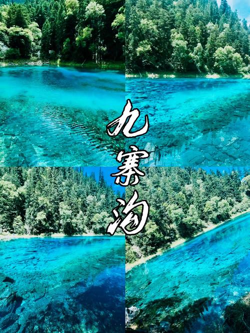 自由行九寨沟旅游攻略(九寨沟旅游攻略自助游5天)-第3张图片 自由行九寨沟旅游攻略(九寨沟旅游攻略自助游5天)-第3张图片