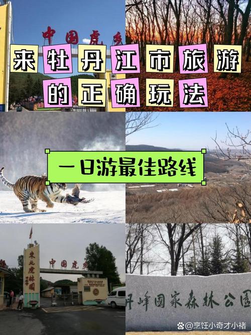 牡丹江虎园一日游多少钱 - 牡丹江虎园攻略-第3张图片 牡丹江虎园一日游多少钱 - 牡丹江虎园攻略-第3张图片