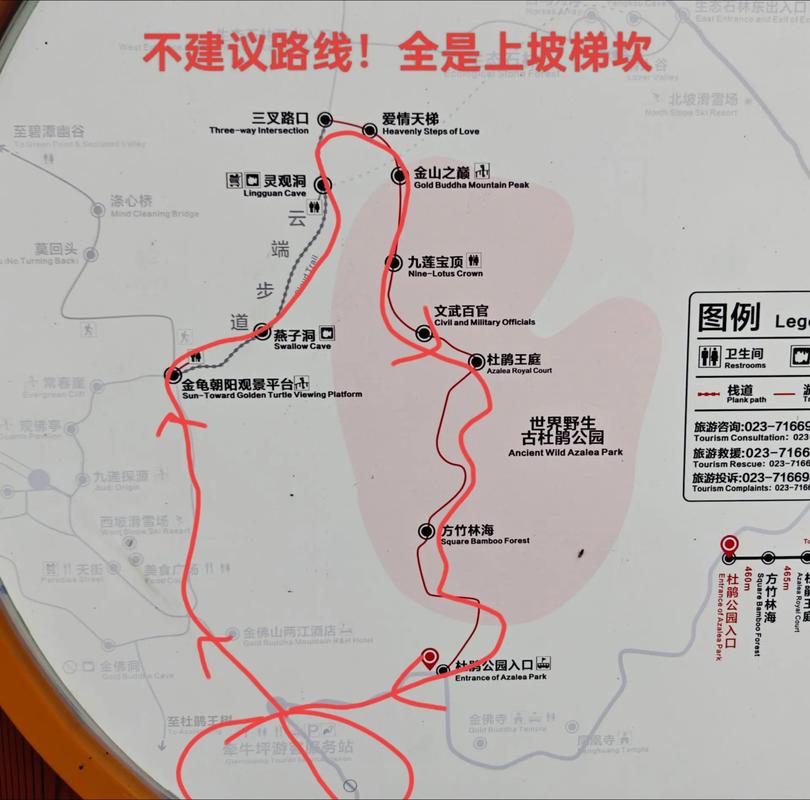 金佛山旅游最新攻略路线,金佛山旅游攻略自驾-第1张图片 金佛山旅游最新攻略路线,金佛山旅游攻略自驾-第1张图片