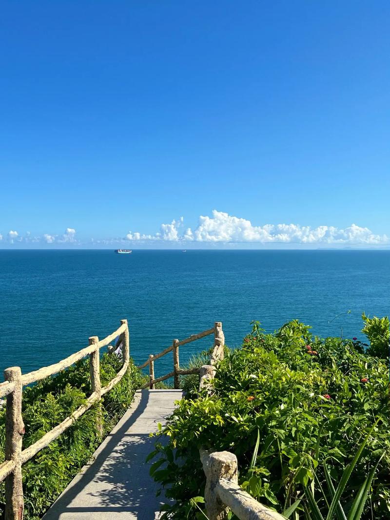 深圳海边游玩推荐(深圳海边游玩推荐路线)-第5张图片 深圳海边游玩推荐(深圳海边游玩推荐路线)-第5张图片
