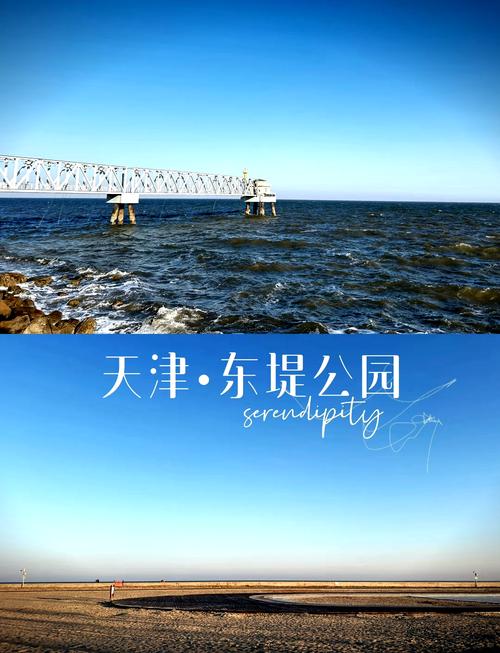 天津海边旅游攻略 - 天津海边旅游攻略路线-第1张图片 天津海边旅游攻略 - 天津海边旅游攻略路线-第1张图片