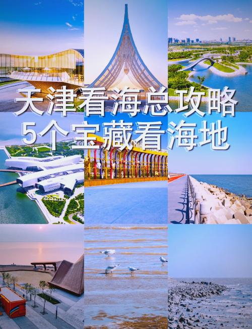 天津海边旅游攻略 - 天津海边旅游攻略路线-第5张图片 天津海边旅游攻略 - 天津海边旅游攻略路线-第5张图片