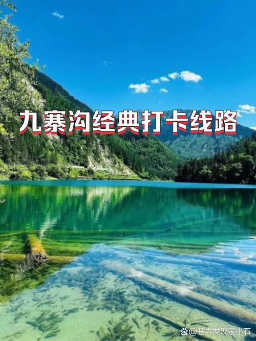 2021年九寨沟门票多少钱,2021年九寨沟门票多少钱一张-第5张图片 2021年九寨沟门票多少钱,2021年九寨沟门票多少钱一张-第5张图片