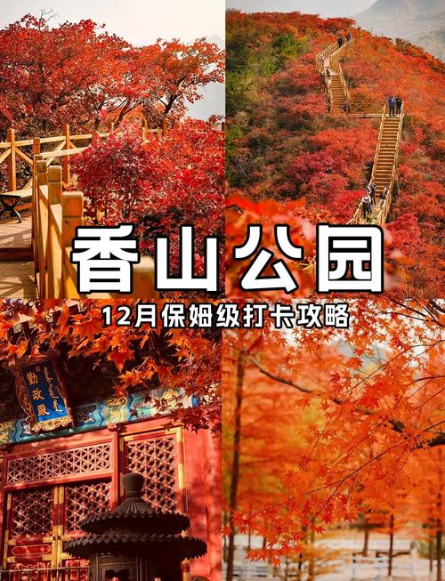 香山公园旅游景点攻略一日游(香山公园游玩攻略)-第2张图片 香山公园旅游景点攻略一日游(香山公园游玩攻略)-第2张图片