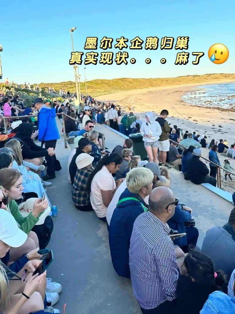 澳大利亚旅游情况介绍(澳大利亚旅游指南)-第2张图片 澳大利亚旅游情况介绍(澳大利亚旅游指南)-第2张图片