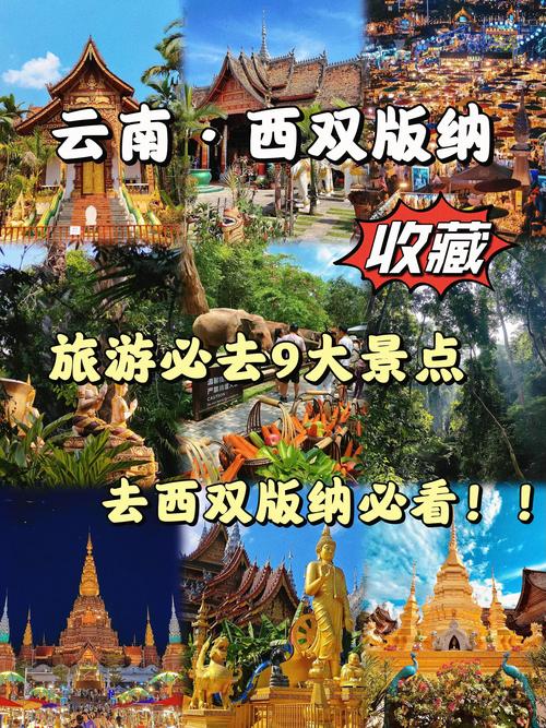 西双版纳旅游胜地(西双版纳旅游必去的地方)-第3张图片 西双版纳旅游胜地(西双版纳旅游必去的地方)-第3张图片