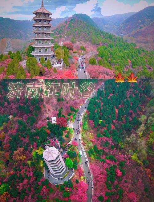 红叶谷景区介绍攻略(红叶谷旅游景点)-第2张图片 红叶谷景区介绍攻略(红叶谷旅游景点)-第2张图片