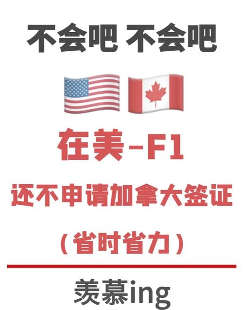加拿大签证一般给几年的(加拿大签证几年有效期)-第3张图片 加拿大签证一般给几年的(加拿大签证几年有效期)-第3张图片
