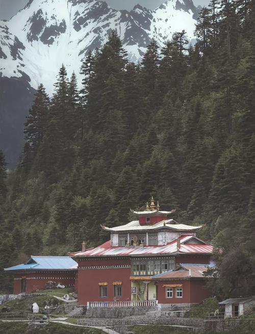 墨脱旅游景点 - 西藏墨脱介绍-第3张图片 墨脱旅游景点 - 西藏墨脱介绍-第3张图片