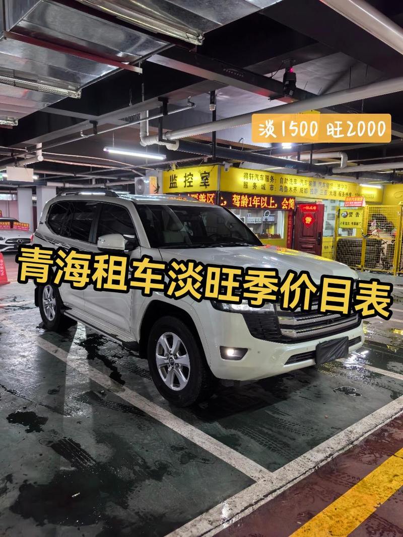 青海当地租车加司机(青海租车带司机)-第4张图片 青海当地租车加司机(青海租车带司机)-第4张图片