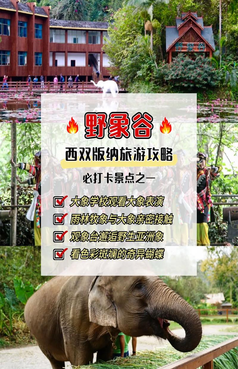 西双版纳旅游景点野象谷简介,西双版纳野象谷在哪个城市-第1张图片 西双版纳旅游景点野象谷简介,西双版纳野象谷在哪个城市-第1张图片