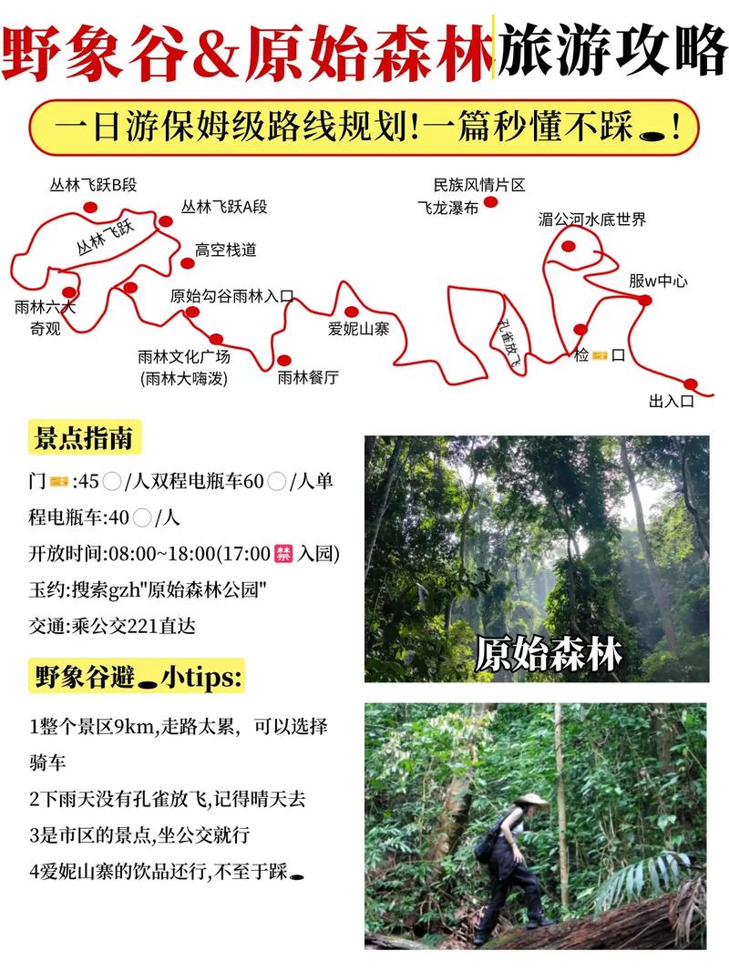 西双版纳旅游景点野象谷简介,西双版纳野象谷在哪个城市-第2张图片 西双版纳旅游景点野象谷简介,西双版纳野象谷在哪个城市-第2张图片