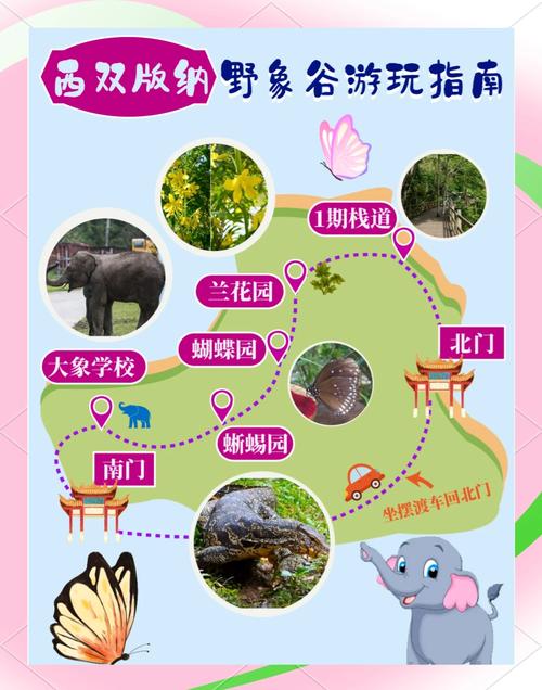 西双版纳旅游景点野象谷简介,西双版纳野象谷在哪个城市-第5张图片 西双版纳旅游景点野象谷简介,西双版纳野象谷在哪个城市-第5张图片