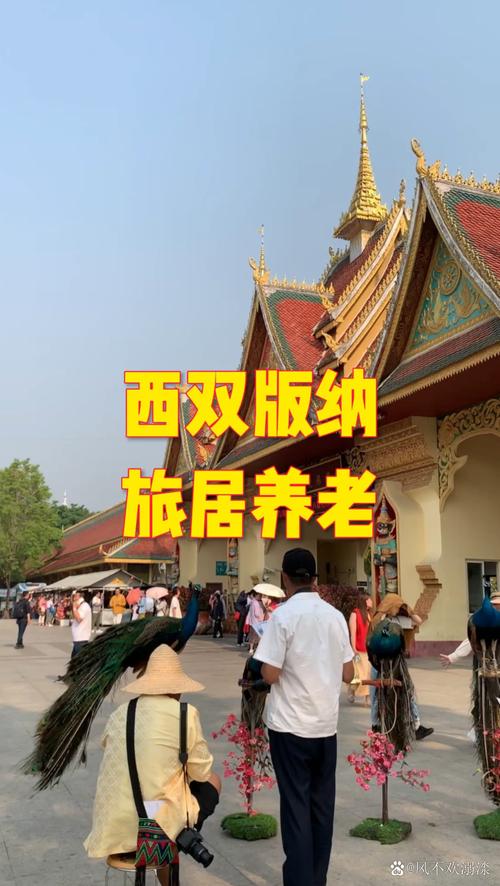 西双版纳适合老人居住吗 - 西双版纳的旅游景点门票对老年人有优惠吗-第3张图片 西双版纳适合老人居住吗 - 西双版纳的旅游景点门票对老年人有优惠吗-第3张图片