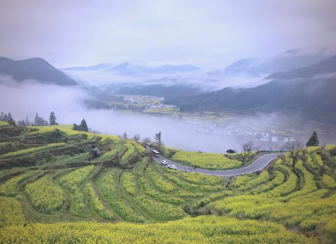 江西婺源旅游景点天气预报15天查询(江西婺源旅游景区天气预报)-第3张图片 江西婺源旅游景点天气预报15天查询(江西婺源旅游景区天气预报)-第3张图片