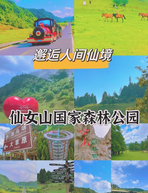 重庆武隆旅游景点要爬山吗现在开放吗(武隆景区需要玩几天)-第3张图片 重庆武隆旅游景点要爬山吗现在开放吗(武隆景区需要玩几天)-第3张图片