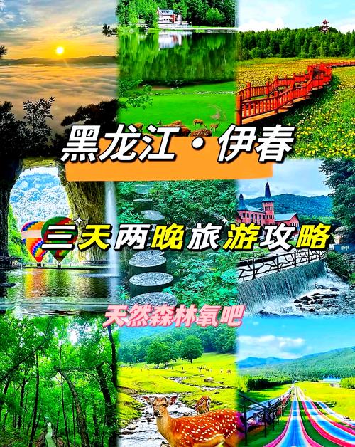 伊春前十景点 - 伊春前十景点大全-第6张图片 伊春前十景点 - 伊春前十景点大全-第6张图片