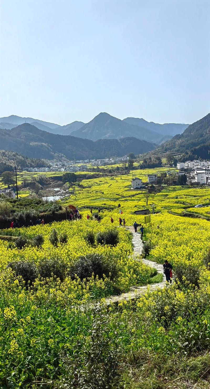 江西婺源旅游景点有哪些景区,江西婺源景区主要景点-第1张图片 江西婺源旅游景点有哪些景区,江西婺源景区主要景点-第1张图片
