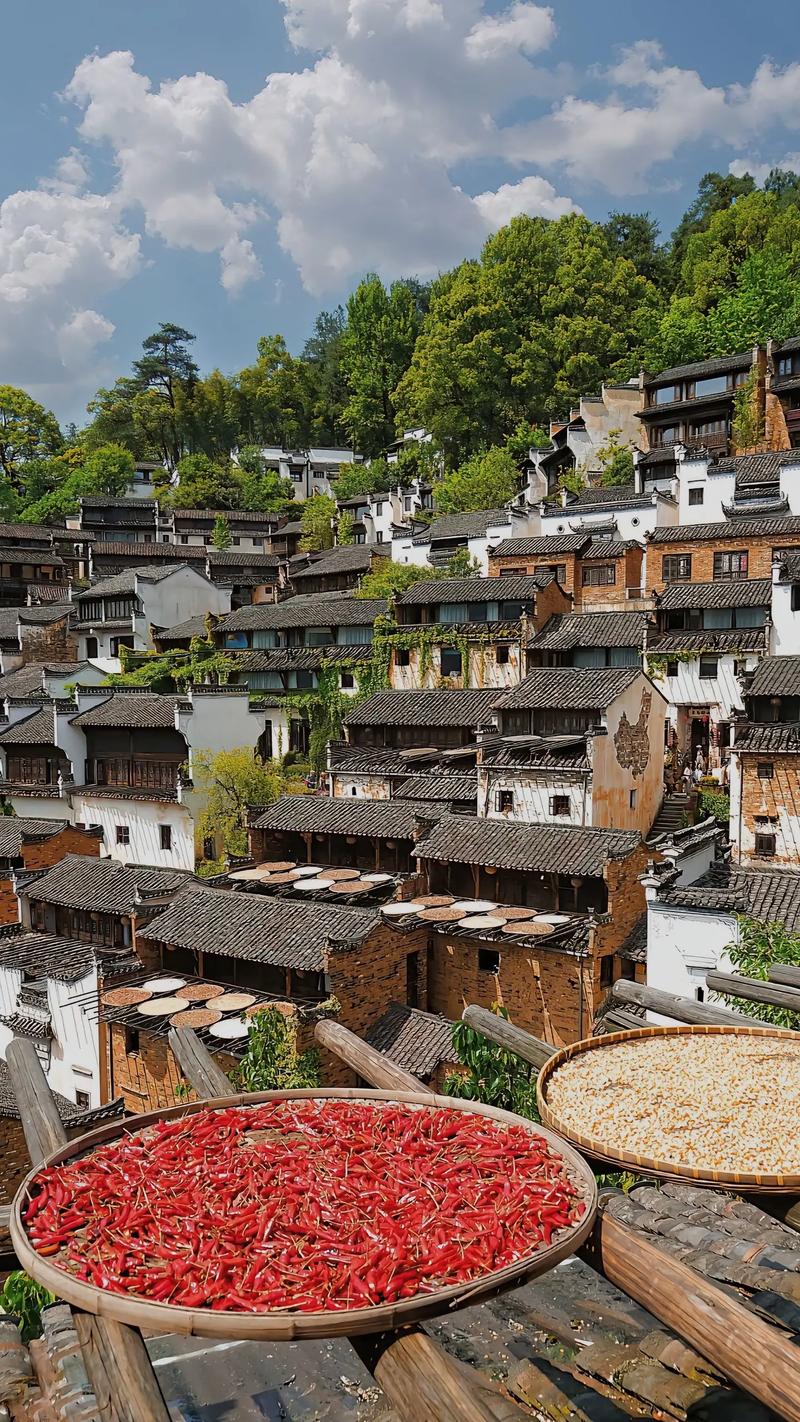 江西婺源旅游景点有哪些景区,江西婺源景区主要景点-第4张图片 江西婺源旅游景点有哪些景区,江西婺源景区主要景点-第4张图片