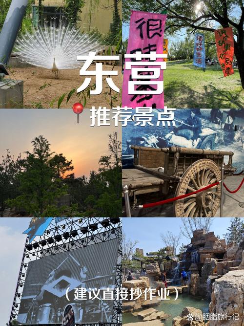 东营最新游玩好地方,东营最新游玩好地方推荐-第5张图片 东营最新游玩好地方,东营最新游玩好地方推荐-第5张图片