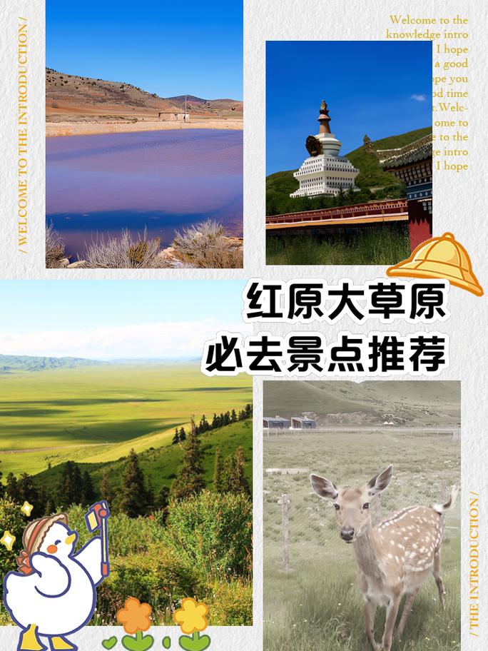 红原旅游线路,红原自驾游攻略3天-第3张图片 红原旅游线路,红原自驾游攻略3天-第3张图片