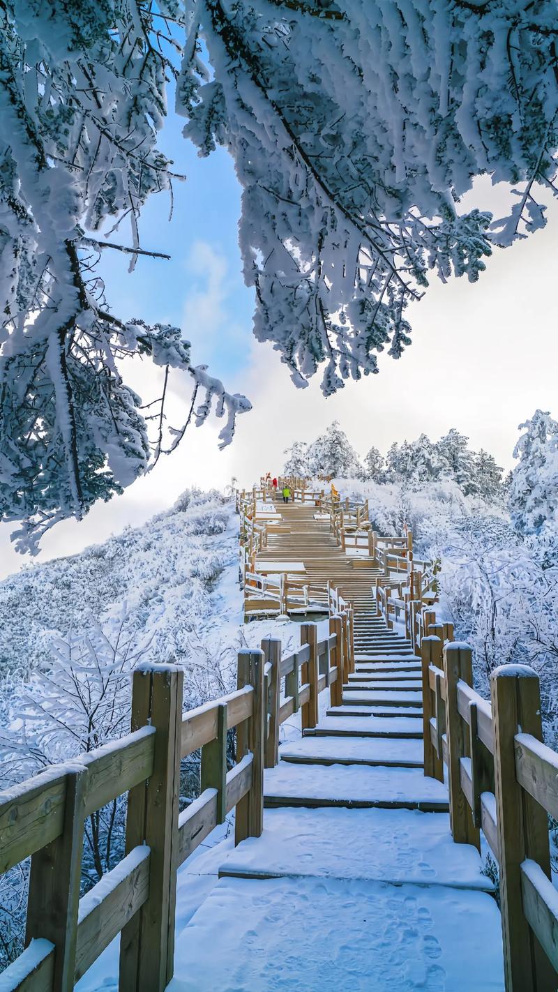 西岭雪山海拔多少高 - 西岭雪山海拔高度是多少米-第4张图片 西岭雪山海拔多少高 - 西岭雪山海拔高度是多少米-第4张图片