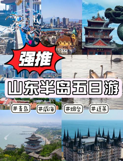 青岛6日游一家3口多少钱(青岛6日游最佳路线)-第3张图片 青岛6日游一家3口多少钱(青岛6日游最佳路线)-第3张图片