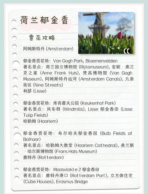 荷兰游玩攻略,荷兰游玩攻略大全-第1张图片 荷兰游玩攻略,荷兰游玩攻略大全-第1张图片