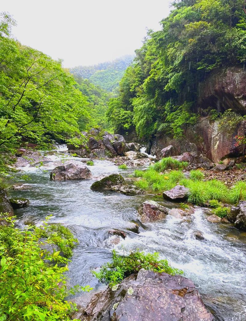 宁波好玩的旅游景点四明山 - 宁波四明山一日游-第1张图片 宁波好玩的旅游景点四明山 - 宁波四明山一日游-第1张图片