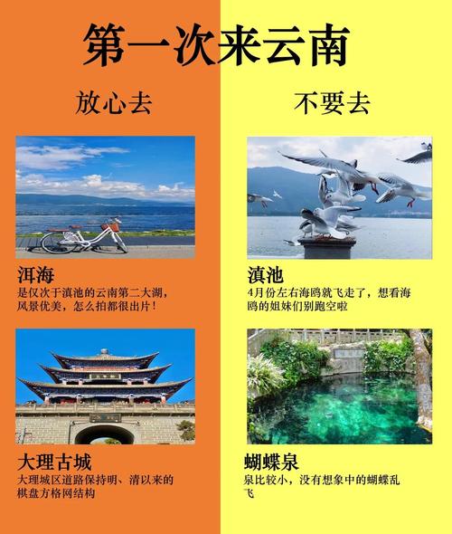 云南昆明六天游多少钱 - 昆明6日自驾游大概需要多少钱-第4张图片 云南昆明六天游多少钱 - 昆明6日自驾游大概需要多少钱-第4张图片