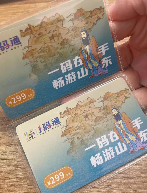 泰山旅游年卡a卡和b卡的区别是什么意思(泰山旅游年卡多少钱)-第2张图片 泰山旅游年卡a卡和b卡的区别是什么意思(泰山旅游年卡多少钱)-第2张图片