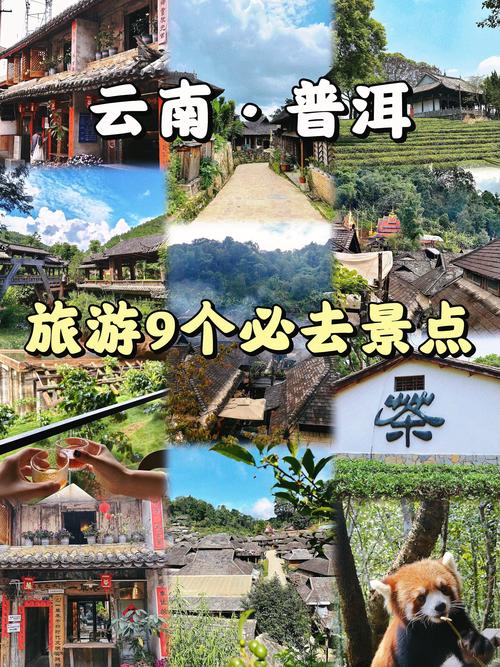 普洱旅游安全吗最新消息 - 普洱旅游安全吗最新消息新闻-第1张图片 普洱旅游安全吗最新消息 - 普洱旅游安全吗最新消息新闻-第1张图片