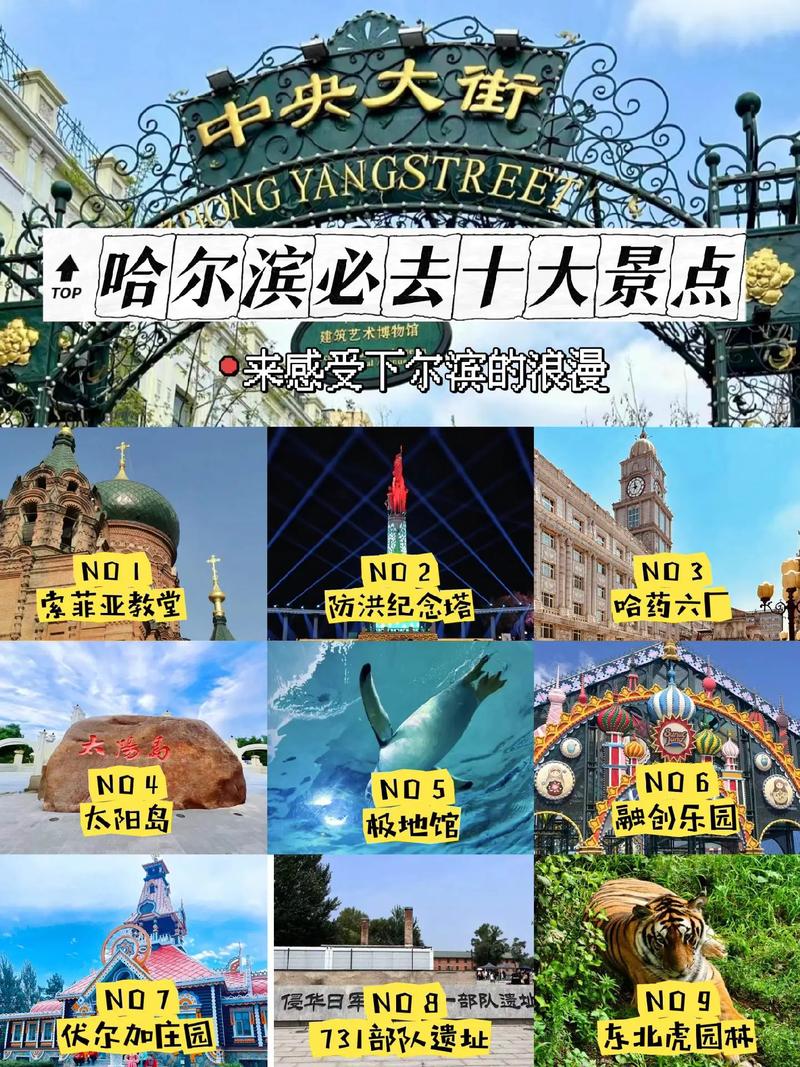 哈尔滨旅游景点简介(哈尔滨旅游景点有哪些地方)-第5张图片 哈尔滨旅游景点简介(哈尔滨旅游景点有哪些地方)-第5张图片