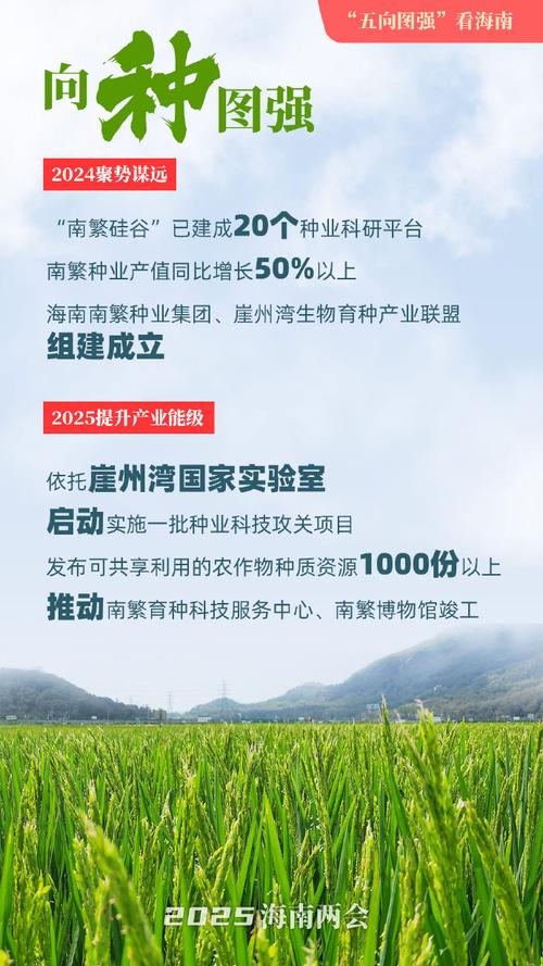 海南旅游人数2020,海南旅游人数2024年-第6张图片 海南旅游人数2020,海南旅游人数2024年-第6张图片