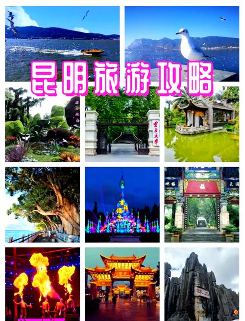 昆明旅游景点大全昆明旅游必去景点，昆明旅游景点攻略自由行-第2张图片