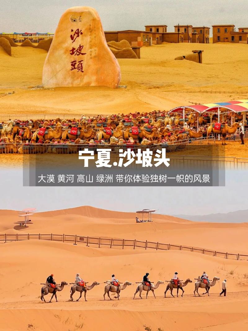 宁夏中卫沙波头(宁夏中卫沙波头一句感言)-第2张图片 宁夏中卫沙波头(宁夏中卫沙波头一句感言)-第2张图片