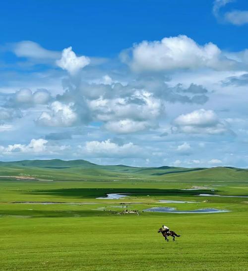 锡林郭勒景点介绍 - 锡林郭勒景点介绍词-第6张图片 锡林郭勒景点介绍 - 锡林郭勒景点介绍词-第6张图片