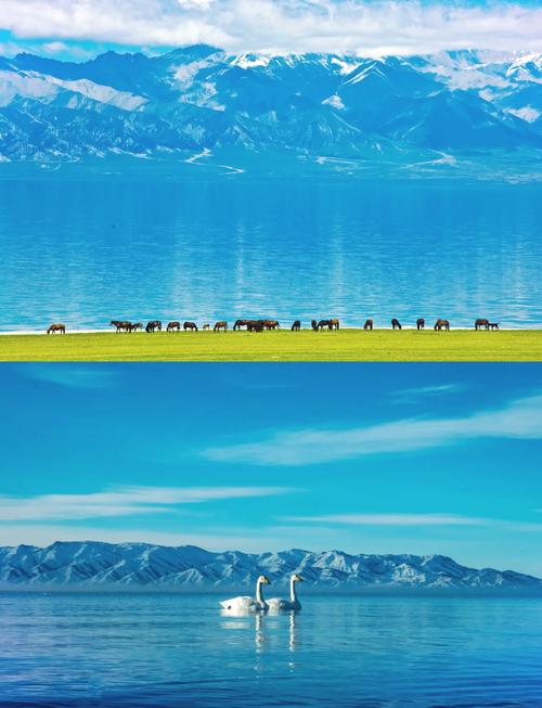 博尔塔拉有什么旅游景点吗(博尔塔拉旅游景点有哪些)-第1张图片 博尔塔拉有什么旅游景点吗(博尔塔拉旅游景点有哪些)-第1张图片