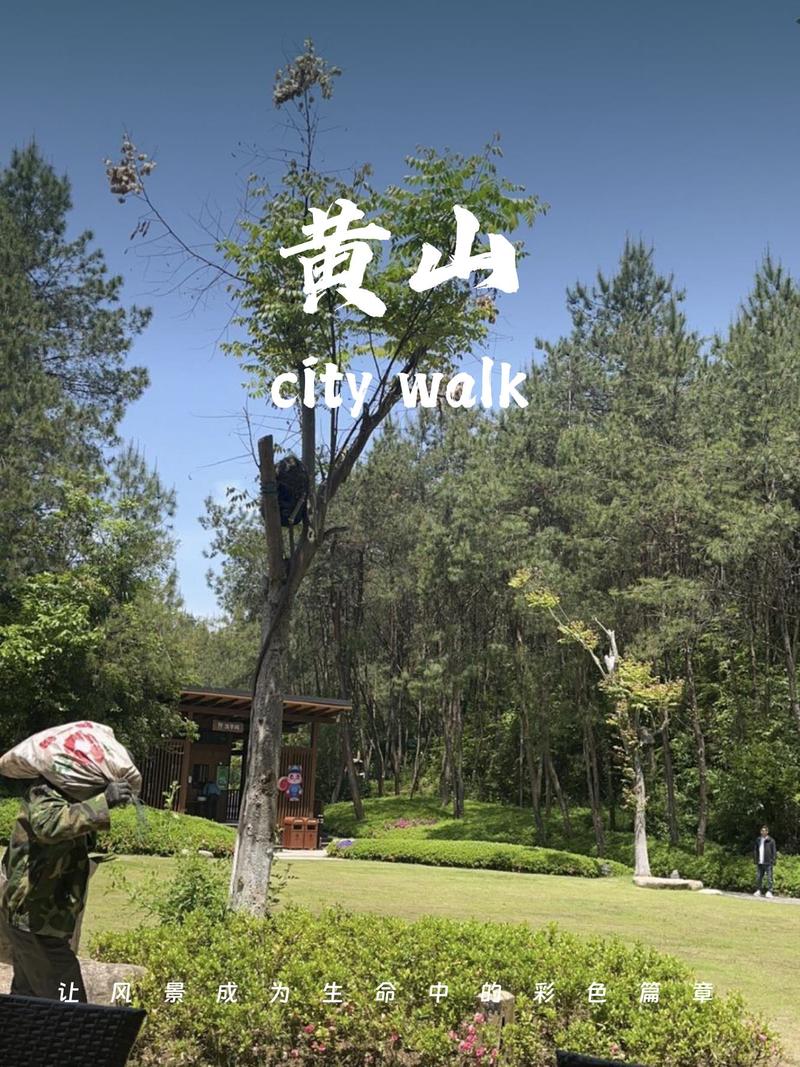 黄山自由行一日游,黄山景点一日游-第4张图片 黄山自由行一日游,黄山景点一日游-第4张图片